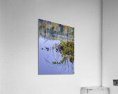 FLO 00468 Acrylic Print