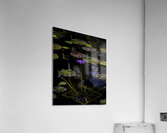 FLO 00535 Acrylic Print