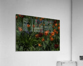 FLO 00514 Acrylic Print
