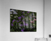 FLO 00501 Acrylic Print