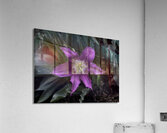 FLO 00523 Acrylic Print
