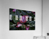 FLO 00545 Acrylic Print