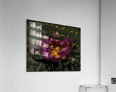 FLO 00538 Acrylic Print