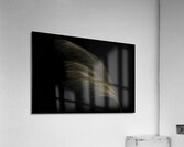 FLO 00526 Acrylic Print