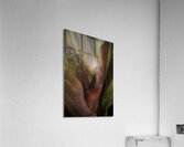 FLO 00509 Acrylic Print