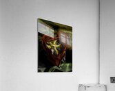 FLO 00511 Acrylic Print