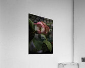 FLO 00505 Acrylic Print