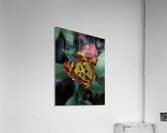FLO 00512 Acrylic Print