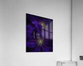 FLO 00583 Acrylic Print