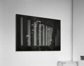 FLO 00562 Acrylic Print