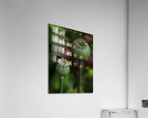 FLO 00595 Acrylic Print