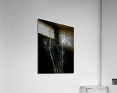 FLO 00567 Acrylic Print