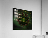 FLO 00577 Acrylic Print