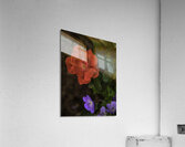 FLO 00582 Acrylic Print