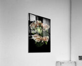 FLO 00563 Acrylic Print