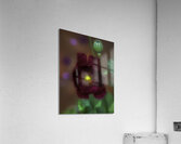 FLO 00571 Acrylic Print