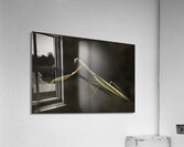 *INS 00634 Acrylic Print