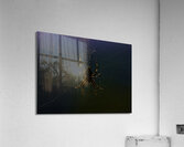 INS 00640 Acrylic Print