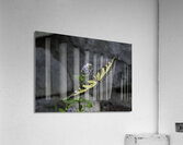 INS 00612 Acrylic Print