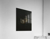 INS 00638 Acrylic Print