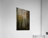 LAN 00656 Acrylic Print