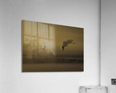LAN 00680 Acrylic Print