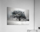 LAN 00668 Acrylic Print