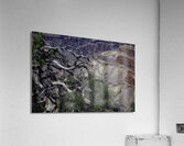 LAN 00701 Acrylic Print