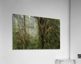 LAN 00729 Acrylic Print
