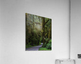 LAN 00730 Acrylic Print