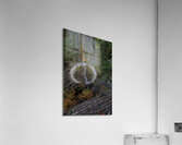 LAN 00738 Acrylic Print
