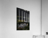 LAN 00734 Acrylic Print