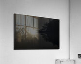 LAN 00741 Acrylic Print