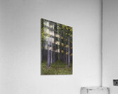 LAN 00724 Acrylic Print