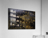 LAN 00764 Acrylic Print