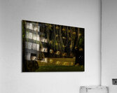LAN 00800 Acrylic Print