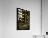 LAN 00824 Acrylic Print