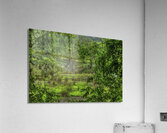 LAN 00846 Acrylic Print