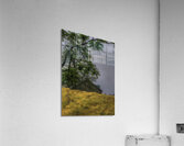 LAN 00829 Acrylic Print