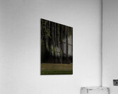 LAN 00801 Acrylic Print