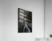 LAN 00813 Acrylic Print