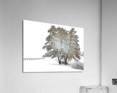 LAN 00832 Acrylic Print