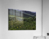 LAN 00865 Acrylic Print