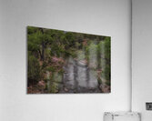 LAN 00856 Acrylic Print