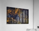 *LAN 00893 Acrylic Print