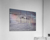 LAN 00926 Acrylic Print
