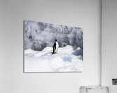 LAN 00934 Acrylic Print