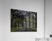 LAN 00958 Acrylic Print