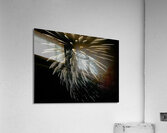 MIS 01025 Acrylic Print