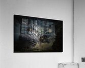 MIS 01022 Acrylic Print